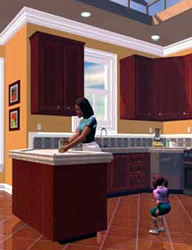 Kitchen Design